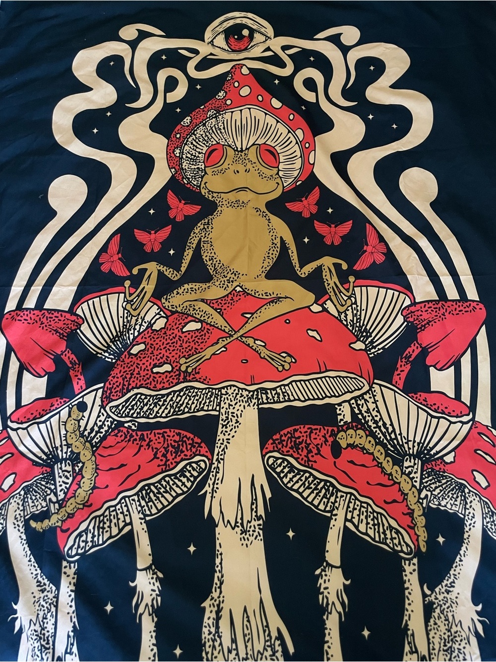 Psychedelic Frog on Red Mushroom Wall Art Tapestry